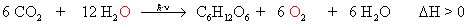 Fotosynthesegleichung: 6 CO2 + 12 H2O reagieren unter Licht zu Glucose + 6 O2 und 6 H2O